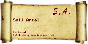 Sali Antal névjegykártya